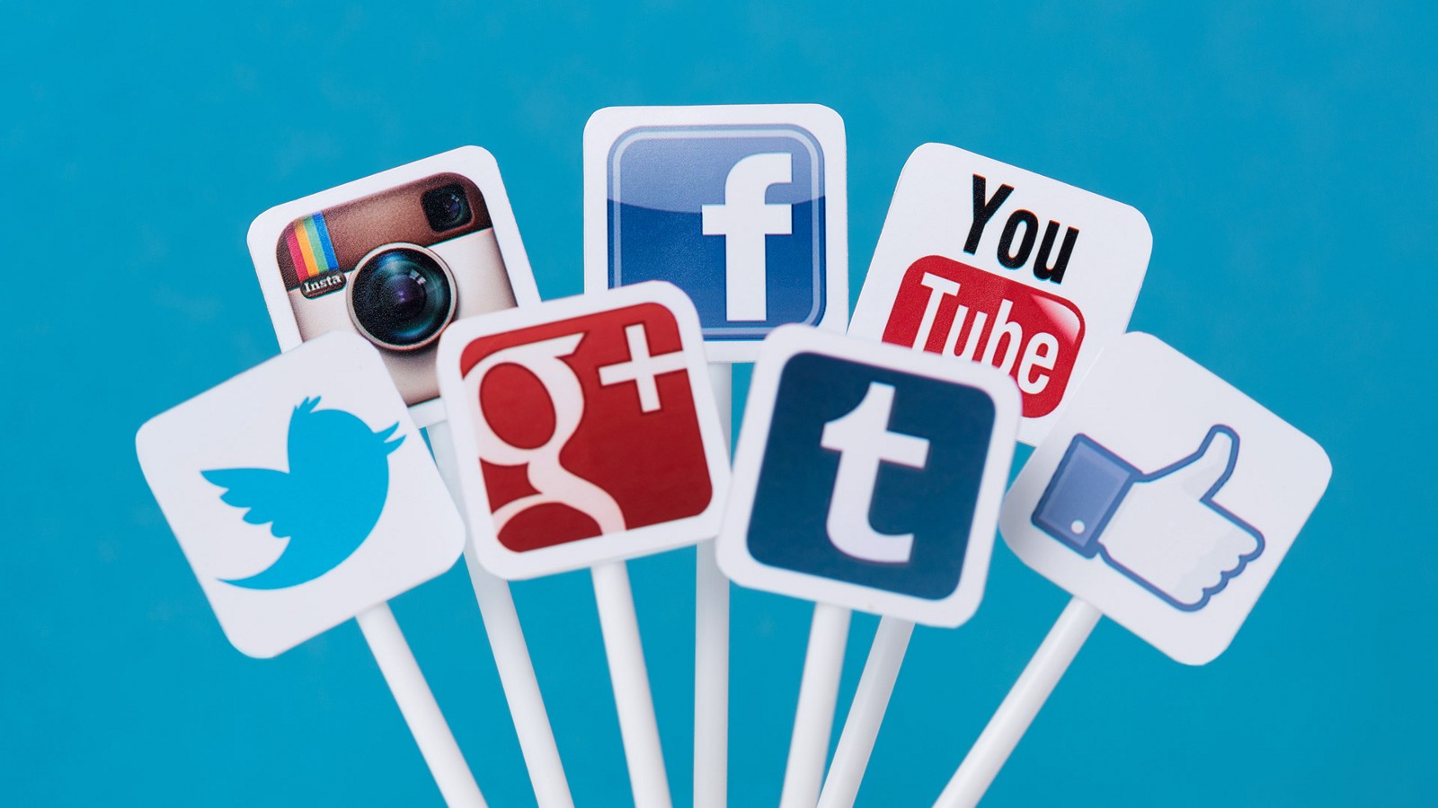 A bunch of social media icons on some sticks